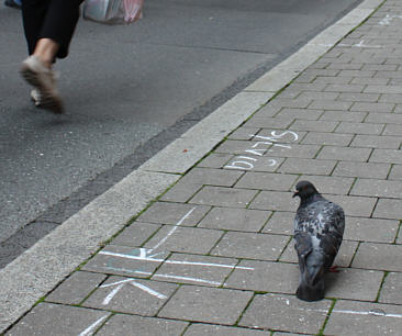 Nrnberger Trempelmarkt 2010