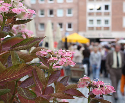 Nrnberger Trempelmarkt 2010