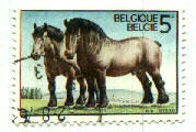 Pferdemarke aus Belgien