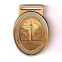 Laufmedaille Stuttgart 2010