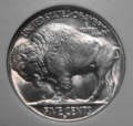 Buffalo Nickel