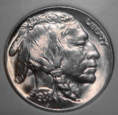 Buffalo Nickel