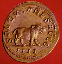 Nilpferd auf einem Antonian vom Jahr 248
