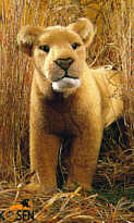L�win "Mara"